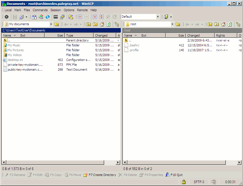 An active WinSCP file transfer session.